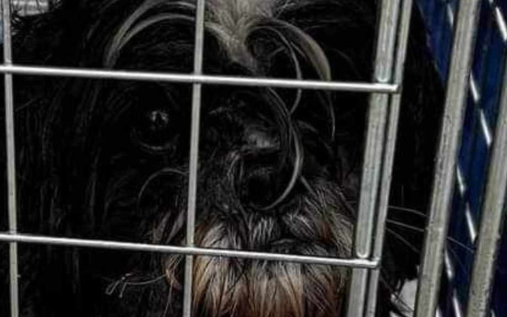 Zbiórka by nie zgasić ISKIERKI nadziei - zdjęcie główne