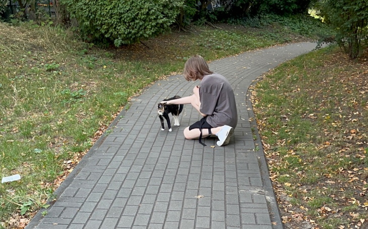 Zbiórka Na pomoc Oliwce - zdjęcie główne