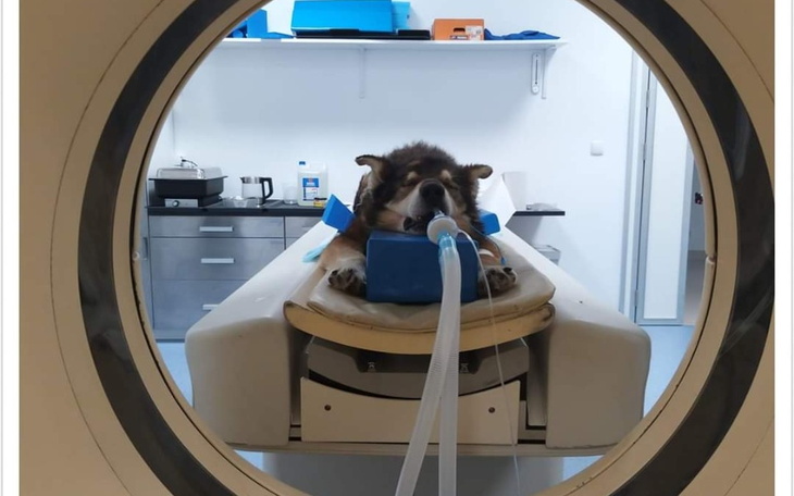 Zbiórka Stary i zapomniany - zdjęcie główne