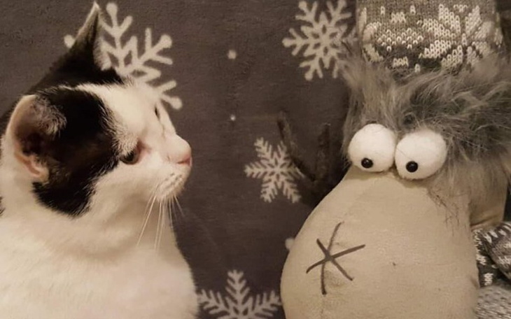 Zbiórka Akcja- szczepienie! - zdjęcie główne