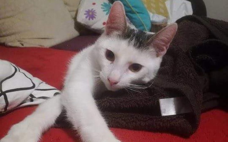 Zbiórka Leczenie guza u Krzysia - zdjęcie główne