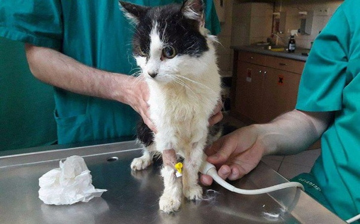 Zbiórka Walczymy o zdrowie Wasilija! - zdjęcie główne