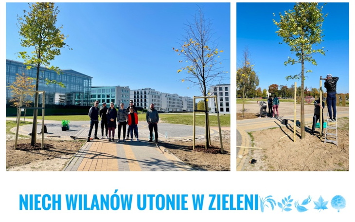 Zbiórka Zrzutka na drzewa w Wilanowie - zdjęcie główne