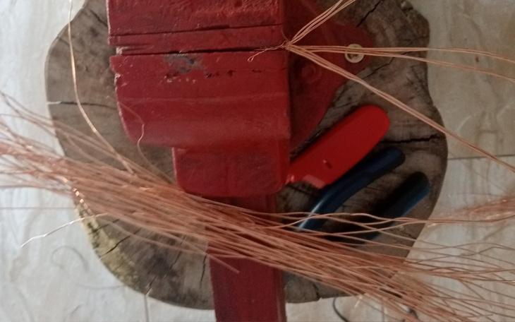 Zbiórka Lecznicza Miedź - zdjęcie główne