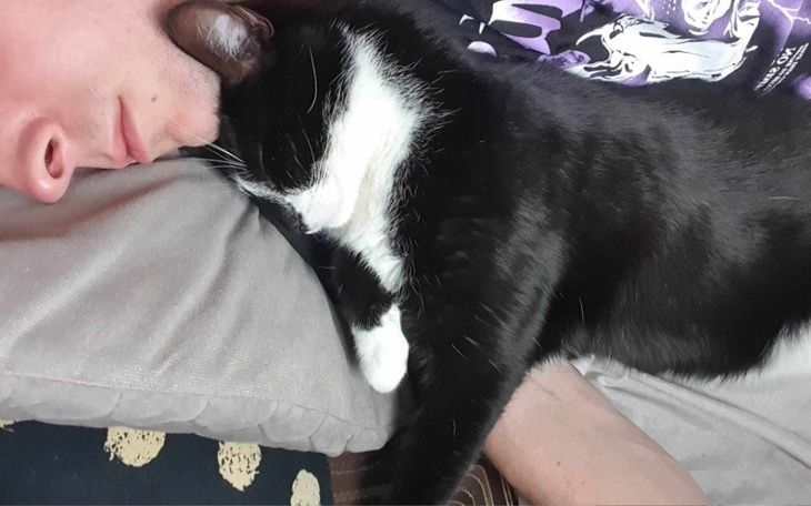 Zbiórka Pomóż nam uratować Shaniego - zdjęcie główne