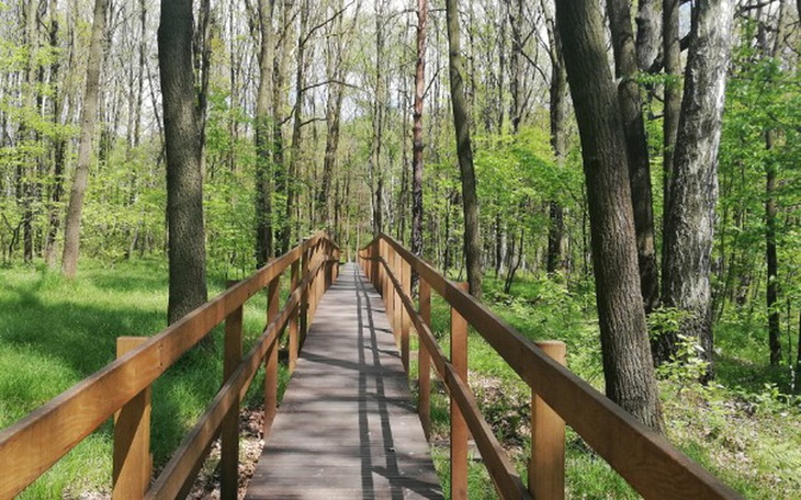 Zbiórka Chęć nauki i spełniania marzeń - zdjęcie główne