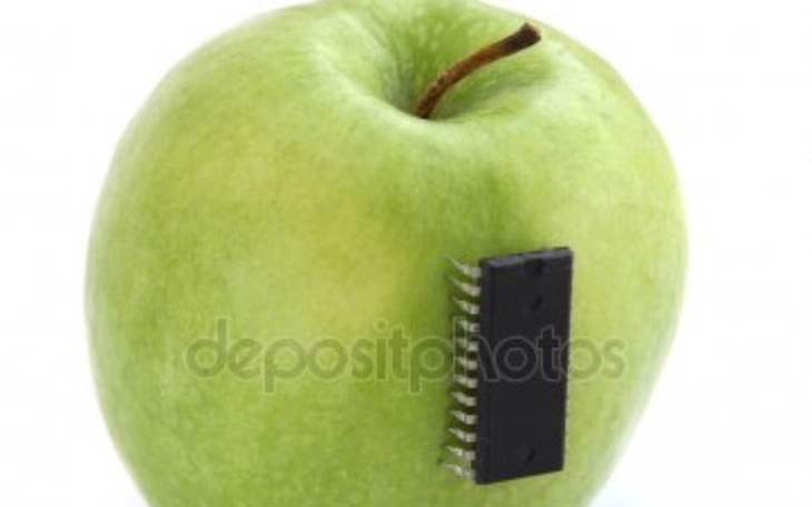 Zbiórka Ejabłko - rozwój zainteresowań - zdjęcie główne