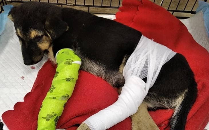 Zbiórka Operacja Wierki - zdjęcie główne