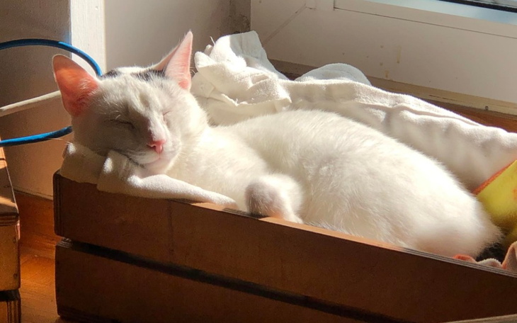 Zbiórka Wyciągnijmy Relaxa z FIP - zdjęcie główne