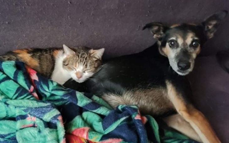 Zbiórka Pomóż nam być - zdjęcie główne