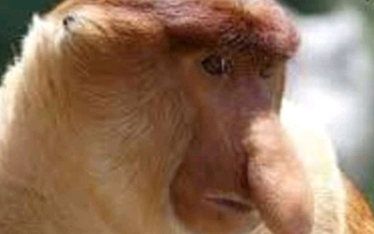 Zbiórka 1 złoty - zdjęcie główne