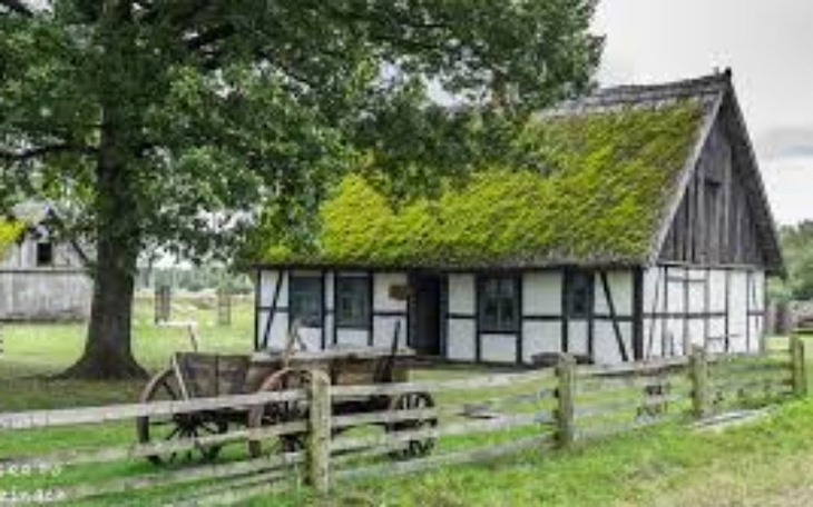 Zbiórka Budowa osady słowiańskiej - zdjęcie główne