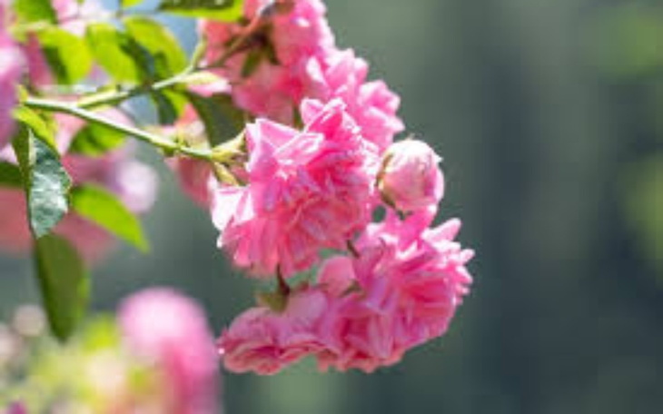 Zbiórka ..1 - zdjęcie główne