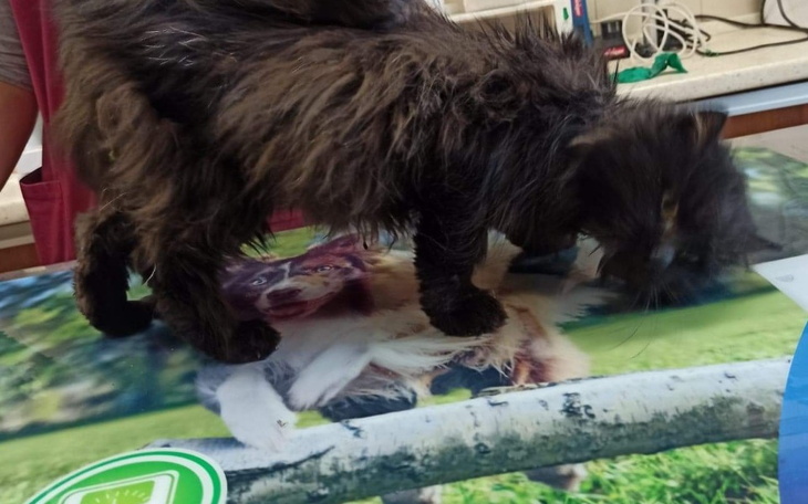 Zbiórka Gdy śmierć patrzy w oczy - zdjęcie główne