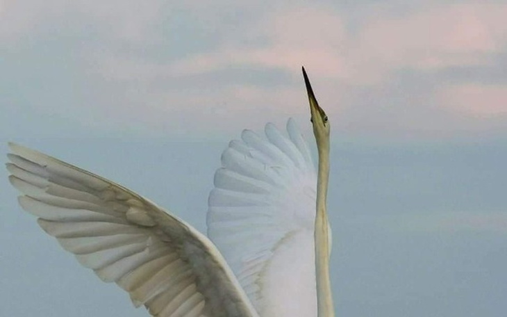 Zbiórka Na proteze - zdjęcie główne