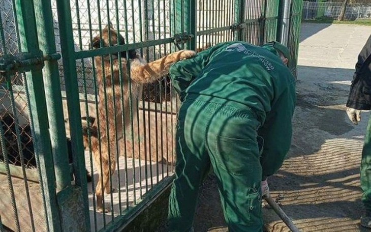 Zbiórka Zbieram dla schroniska123 - zdjęcie główne