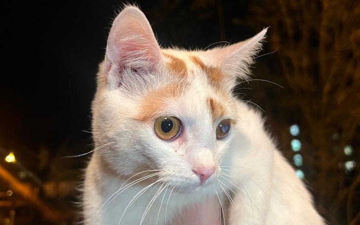 Zbiórka Życie dla Bezdomniaka - zdjęcie główne