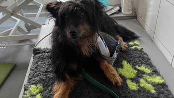 Zbiórka Krok po kroku do zdrowia- Marian - miniaturka zdjęcia