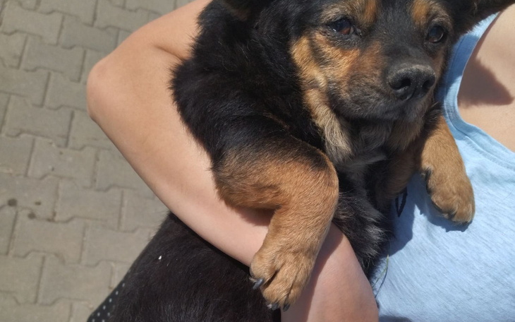 Zbiórka Pomóżcie nam nadal pomagać - zdjęcie główne