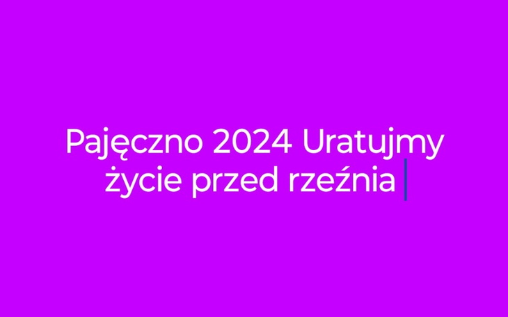 Zbiórka Pajęczno 2024 - zdjęcie główne
