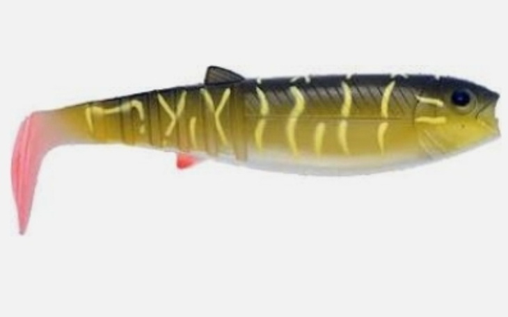 Zbiórka Zbieram na ryby, przynęty. - zdjęcie główne