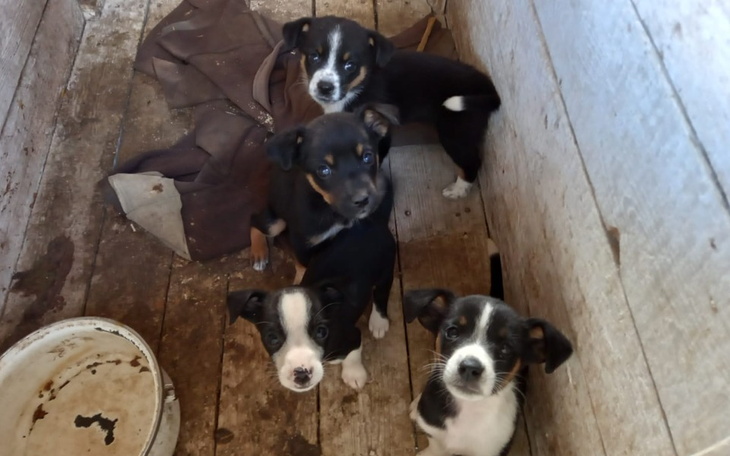 Zbiórka Ich życie warte 800 zł. - zdjęcie główne