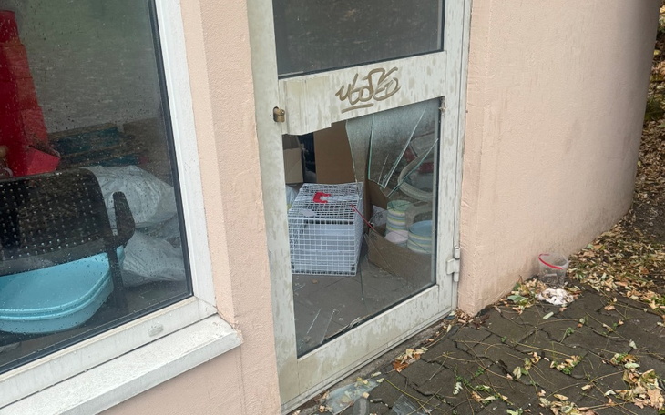 Zbiórka OKRADLI nasze KOTY - zdjęcie główne