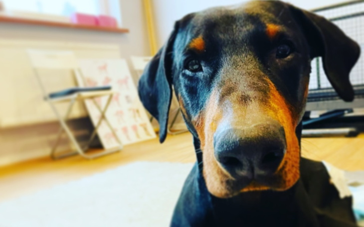 Zbiórka Ares pomaga Tosi - zdjęcie główne