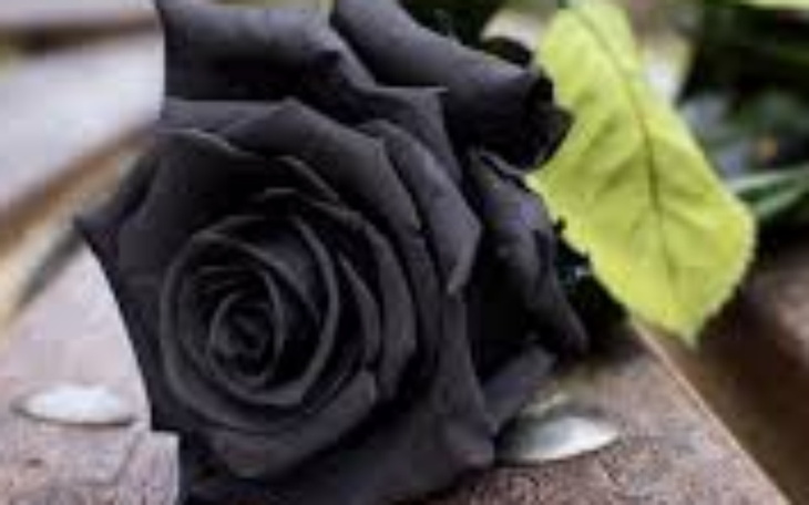 Zbiórka Błagam o pomoc dla siebie - zdjęcie główne