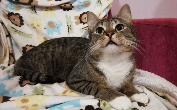 Zbiórka Urodzinowa zbiórka Ani - zdjęcie główne