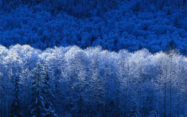 Zbiórka Na moje życie Lepsze - zdjęcie główne