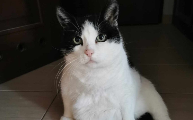 Zbiórka By Mufka mogła chodzić - zdjęcie główne