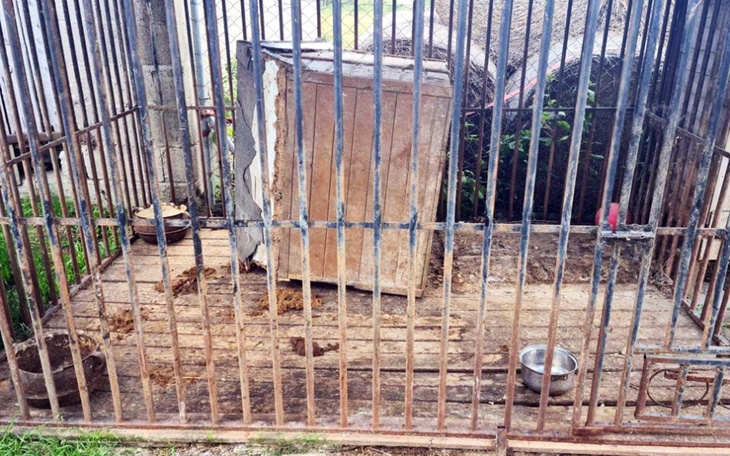 Zbiórka Całe życie za kratami - zdjęcie główne