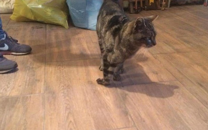 Zbiórka Każdy krok to ból :( - zdjęcie główne