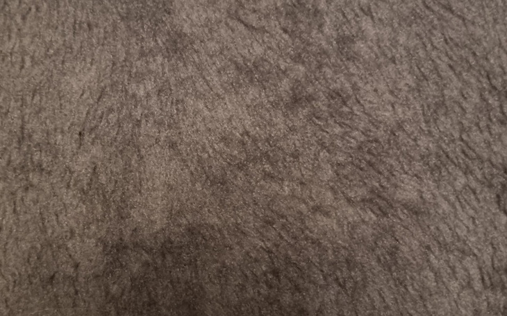 Zbiórka Węgiel dla chorej na SM . - zdjęcie główne