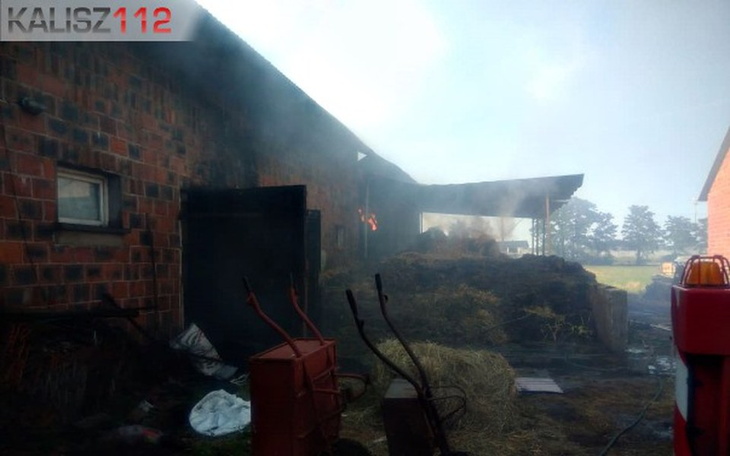 Zbiórka Pomoc Rodzinie Jóźwiaków - zdjęcie główne