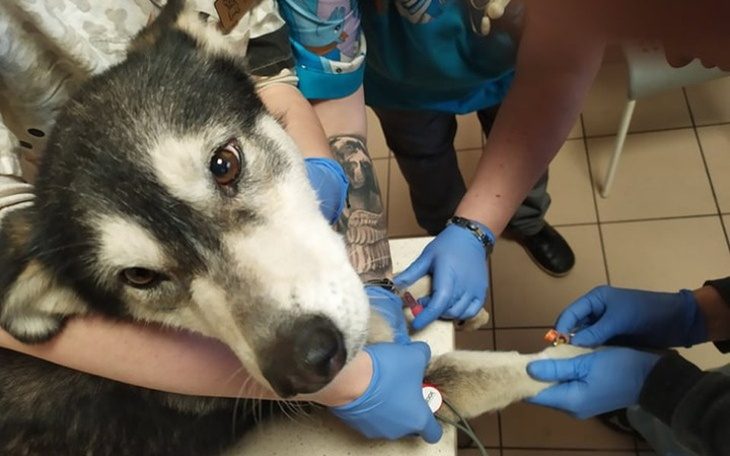 Zbiórka skazana na śmierć głodową - zdjęcie główne