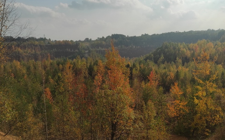 Zbiórka Kupno domu i rozbudowa pasieki - zdjęcie główne