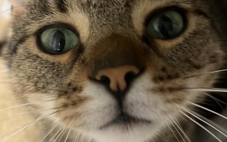 Zbiórka Nazywam się Rambo i chcę żyć - zdjęcie główne