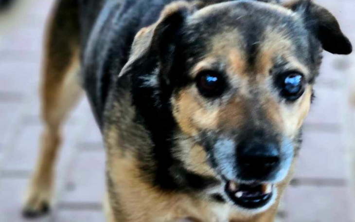 Zbiórka Kiduś zbiera na operację - zdjęcie główne