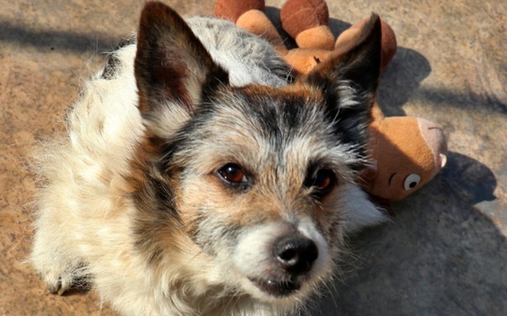 Zbiórka Pełne brzuszki na Wielkanoc? - zdjęcie główne