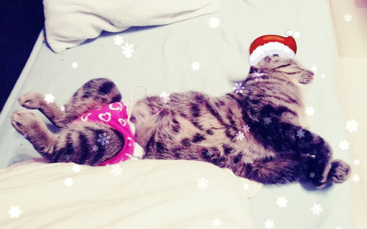 Zbiórka A na święta to bym chciała.. :) - zdjęcie główne