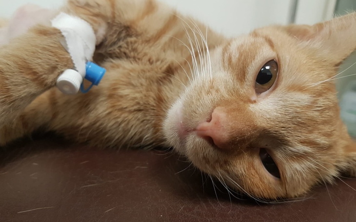 Zbiórka Czas ucieka - zdjęcie główne