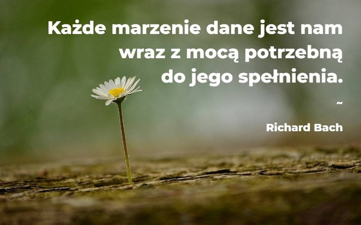 Zbiórka Spełnienie jedynego marzenia - zdjęcie główne