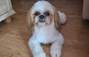 Zbiórka Majlo - miniaturka zdjęcia