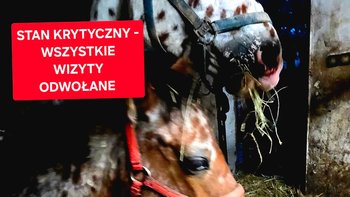 Zbiórka By móc w końcu leczyć.. - miniaturka zdjęcia