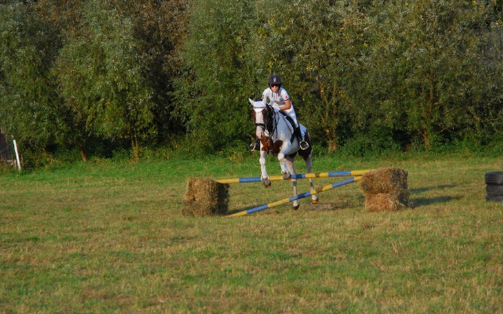 Zbiórka Zbieramy na Hubertusa 2017r - zdjęcie główne