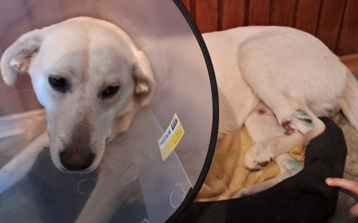 Zbiórka Operacja nogi rokusia - zdjęcie główne