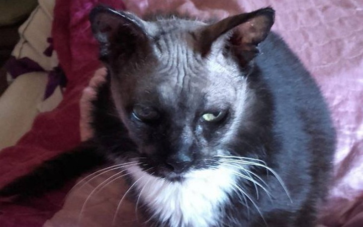 Zbiórka Bąbelek wymruczał sobie życie - zdjęcie główne