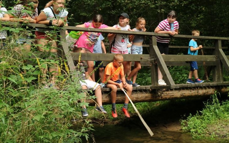 Zbiórka Wakacje inne niż wszystkie - zdjęcie główne